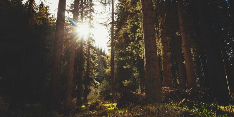 从室内到街头：创意家具如何以爱板凳为媒介，重塑邻里社交与城市微更新