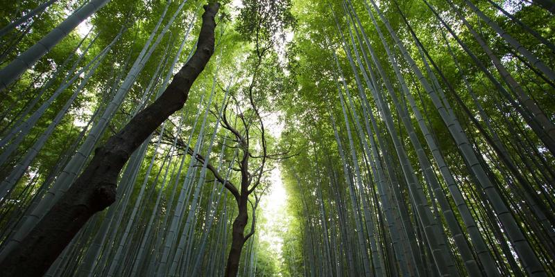 室内设计灵感：如何修复老旧爱板凳？家居生活翻新技巧与材料全指南