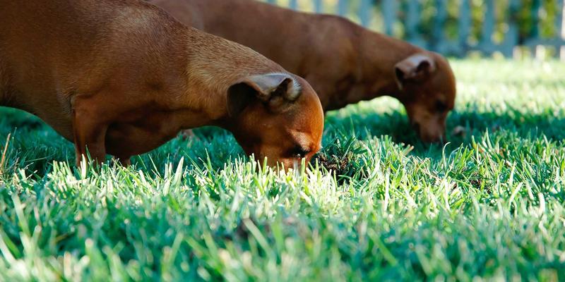 小户型空间魔法：用多功能爱板凳解锁创意家居生活