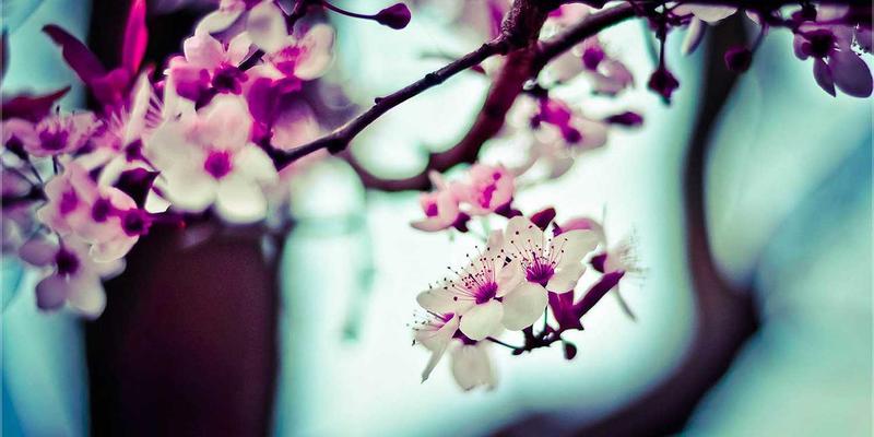 爱板凳5：在简约设计中探寻生活美学的温度