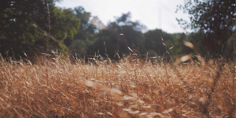 爱板凳78：家居装饰与室内设计的匠心之选