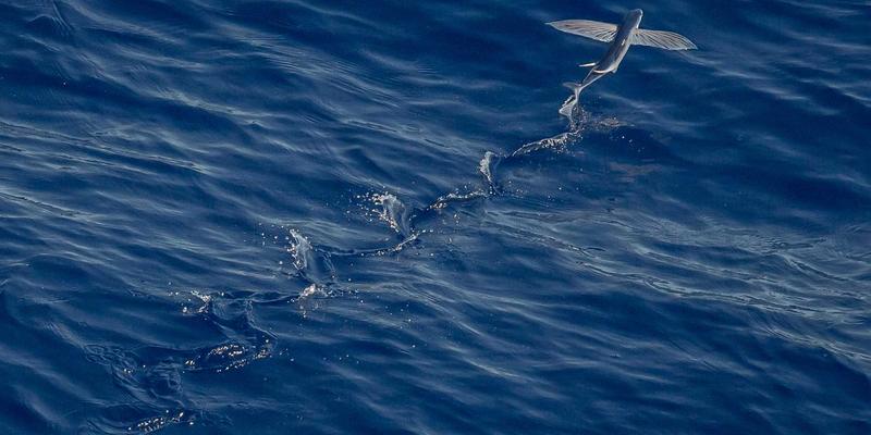 爱板凳在现代家居中的点睛之笔：从玄关到卧室的实用搭配技巧