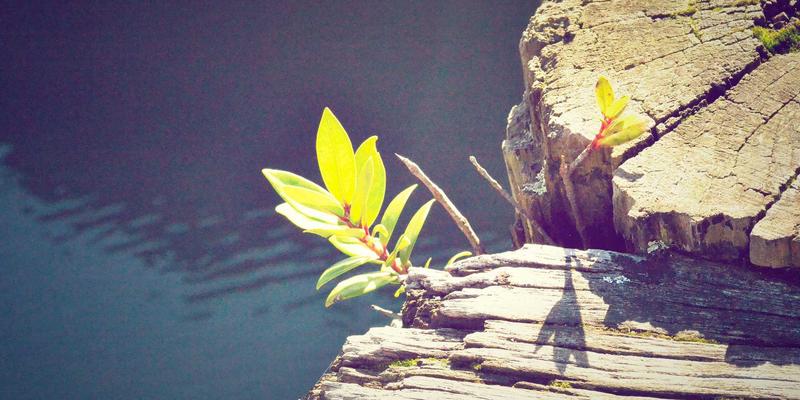 爱板凳的色彩心理学：如何通过坐面颜色选择影响空间情绪与使用者行为