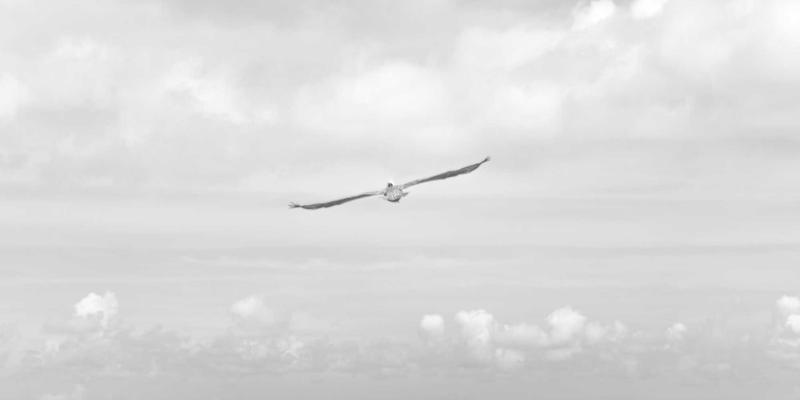 爱板凳：茶室空间的生活美学密码，探寻高度、材质与东方饮茶仪式的深度契合