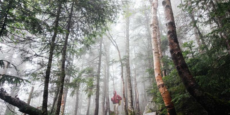 爱板凳:解锁室内设计与生活美学的点睛之笔