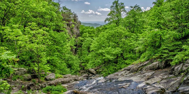 现代家具新选择：爱板凳如何用环保材料重塑室内设计与可持续生活