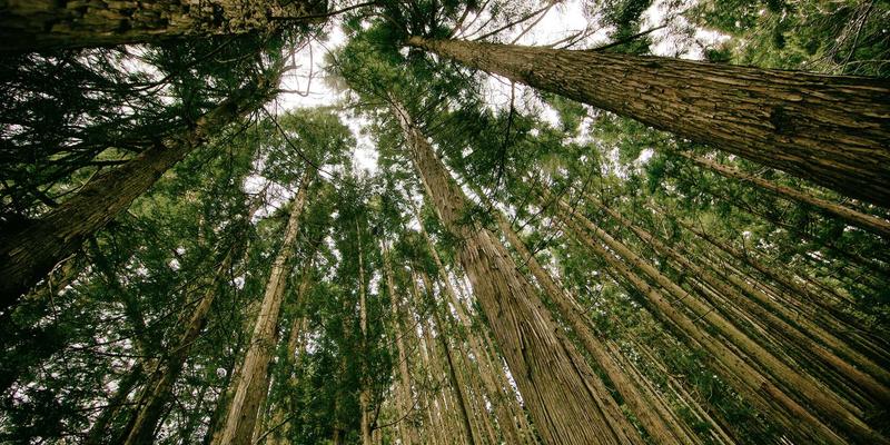 适老化设计新篇章：创意家具爱板凳，为长者打造安全起身的智慧座椅